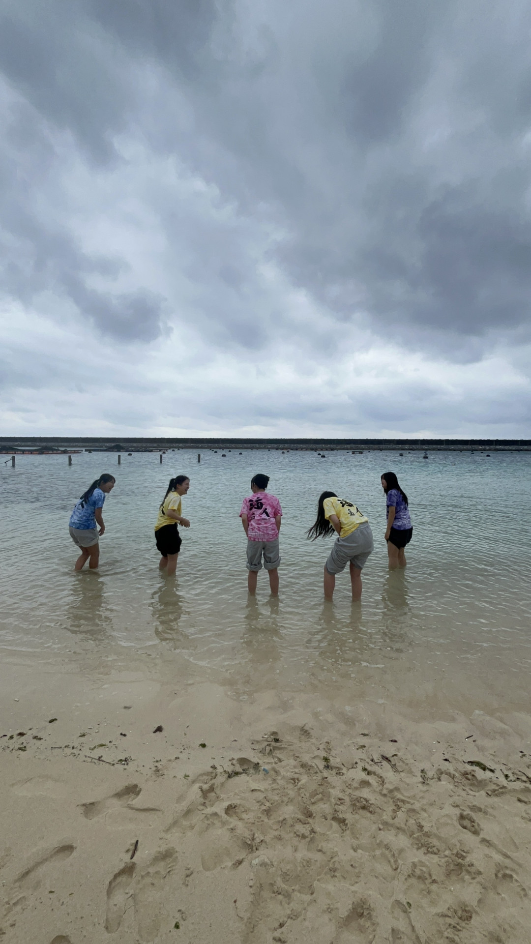 Image - 2026-02-11T160743.052